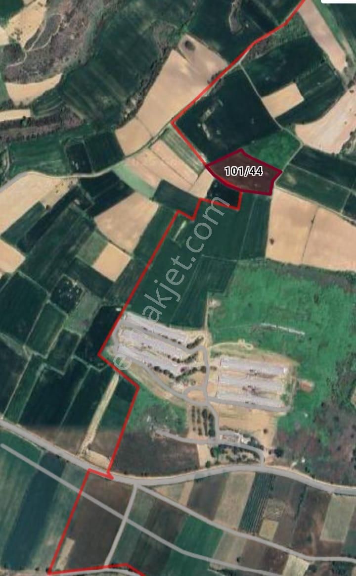 Roma' Dan Yiğitköy' De Satılık Tarla - Görsel 6