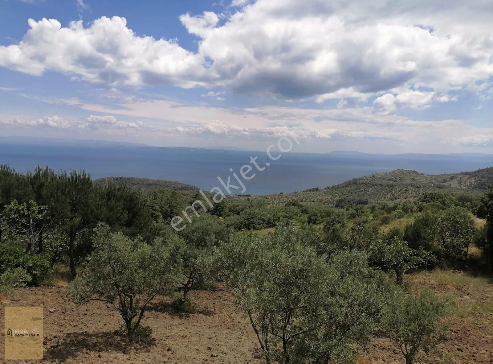 Ayvacık Kayalar Köyünde Komple Deniz Ve Midilli Manzaralı Tarla