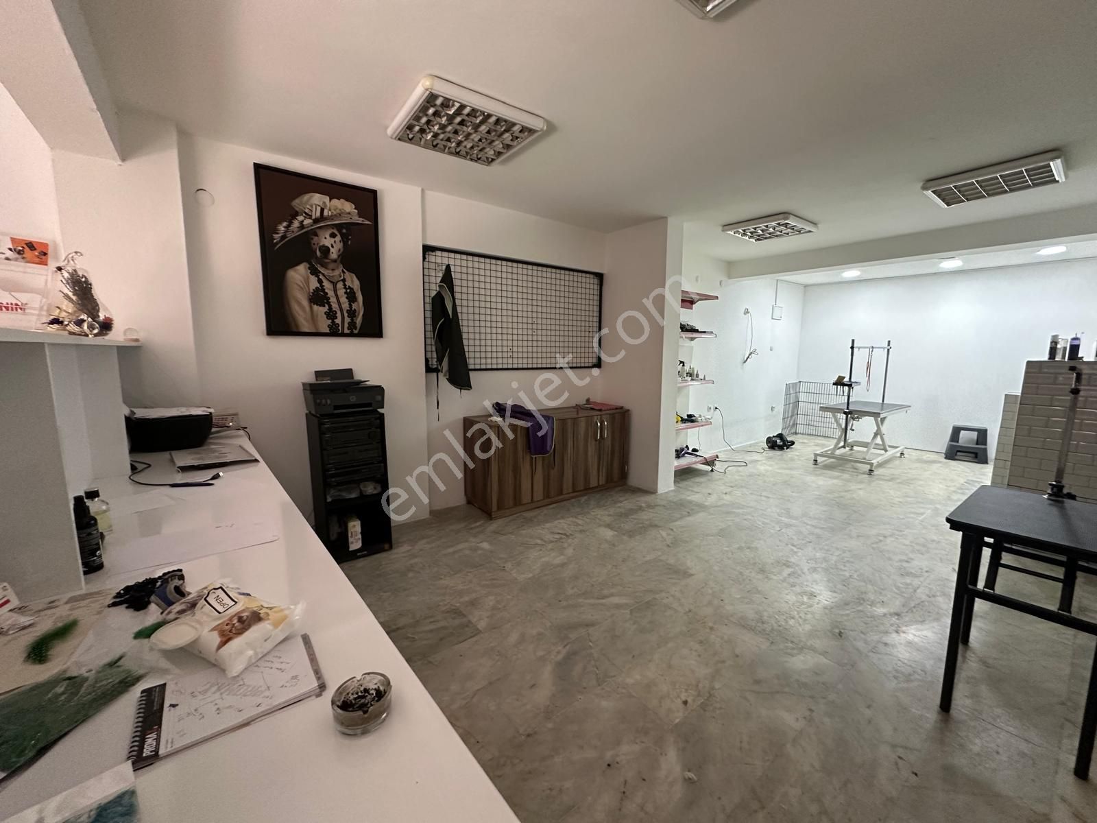 Karşıyaka Merkezde 3 Katlı, Çok Amaçlı Dükkan – Yatırımlık Fırsat! - Görsel 28