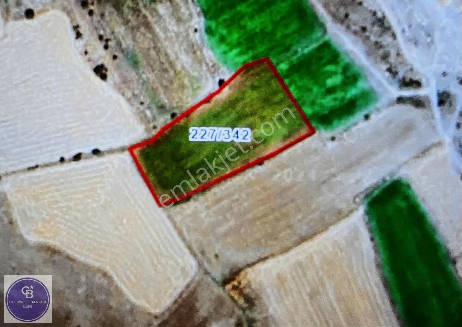 Mahzemin'de 6689 M2 Satılık Tarla