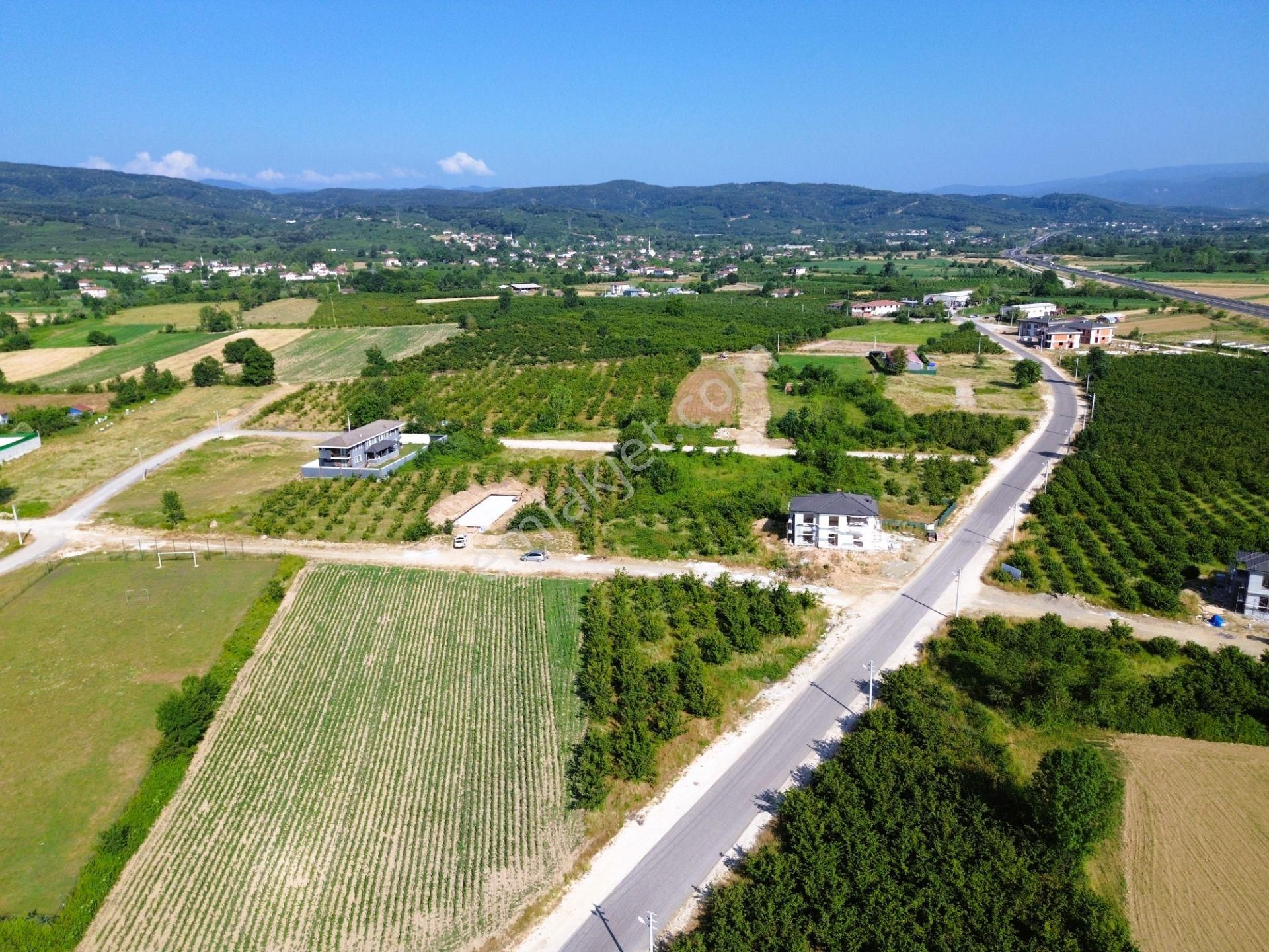 Düzce Sallar'da Doğanın Kalbinde; Satılık 368m² İmarlı Arsa!