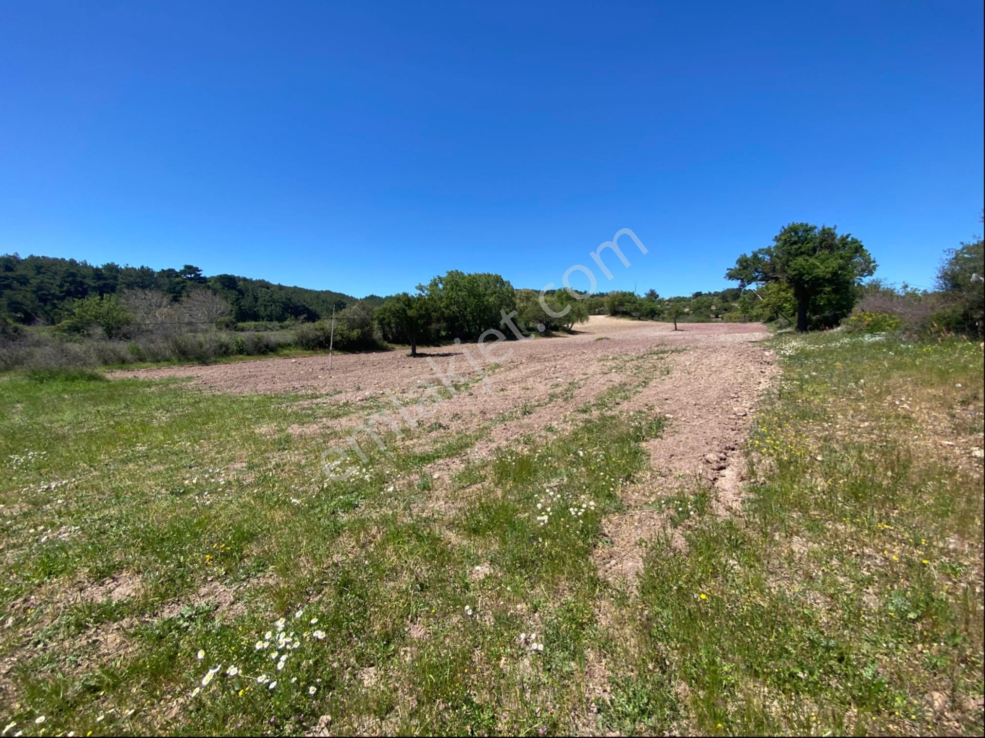 Nisa Gayrimenkulden Kısacık Tarla - Görsel 6