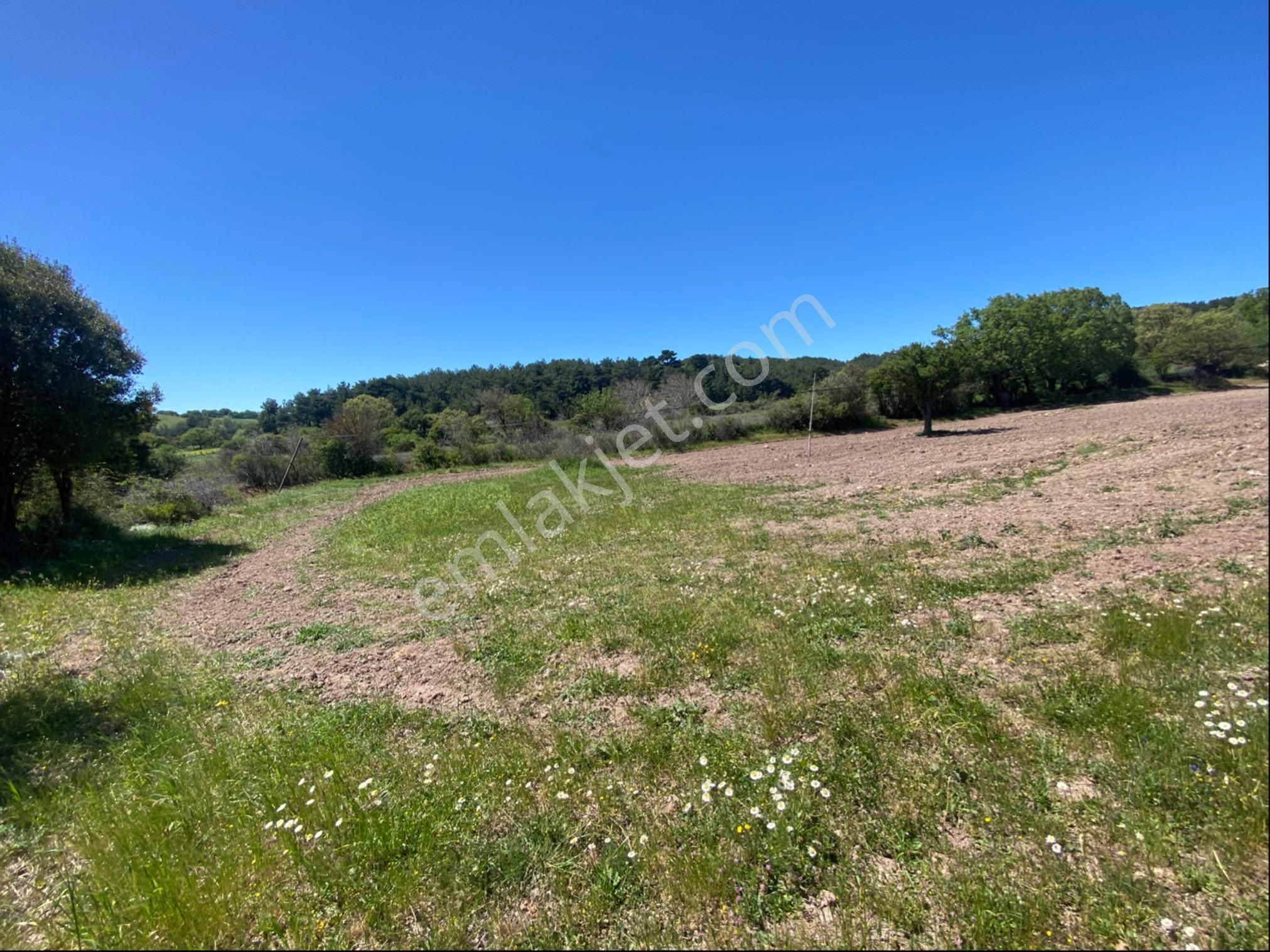 Nisa Gayrimenkulden Kısacık Tarla - Görsel 5