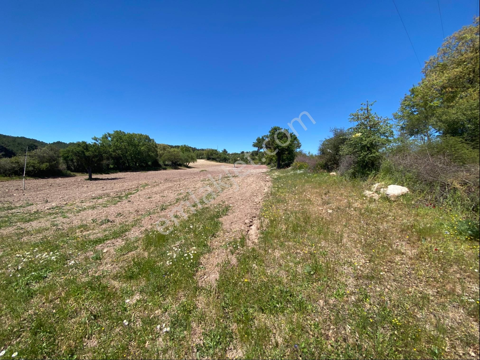 Nisa Gayrimenkulden Kısacık Tarla - Görsel 3