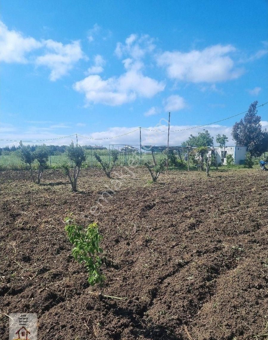Silivri Selimpaşa Merkezde 1235 M Müstakil İmarlı Müştemilatı Olan Bahçe - Görsel 8