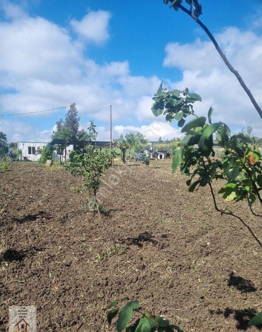 Silivri Selimpaşa Merkezde 1235 M Müstakil İmarlı Müştemilatı Olan Bahçe - Görsel 6