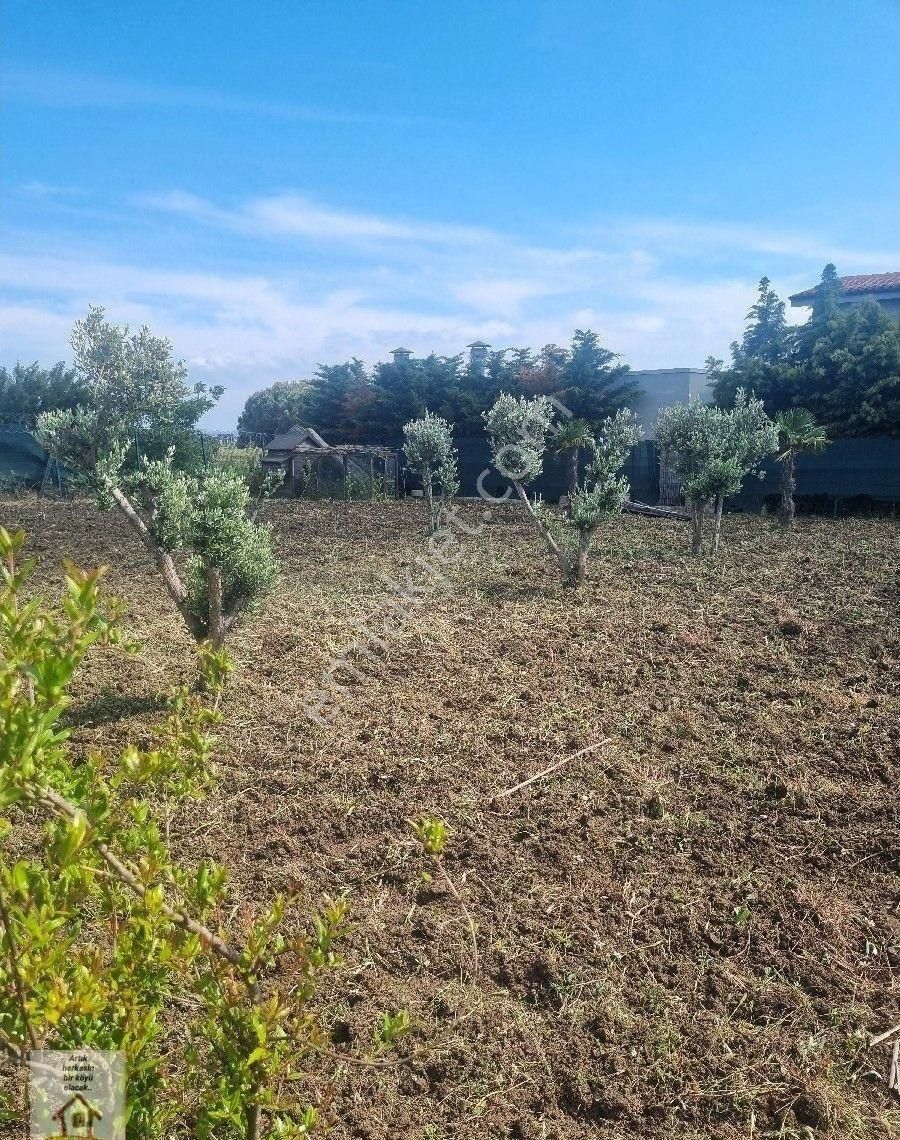 Silivri Selimpaşa Merkezde 1235 M Müstakil İmarlı Müştemilatı Olan Bahçe - Görsel 19