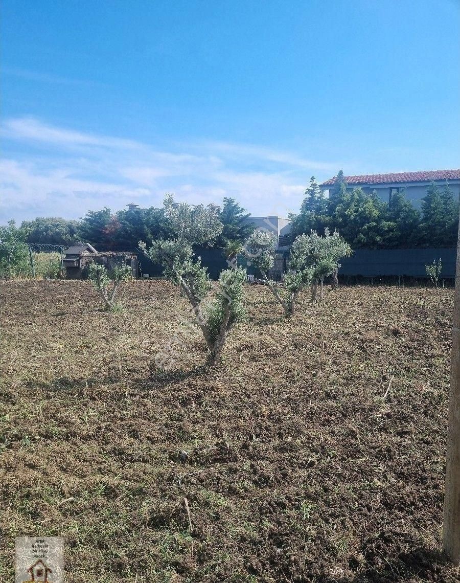 Silivri Selimpaşa Merkezde 1235 M Müstakil İmarlı Müştemilatı Olan Bahçe - Görsel 14