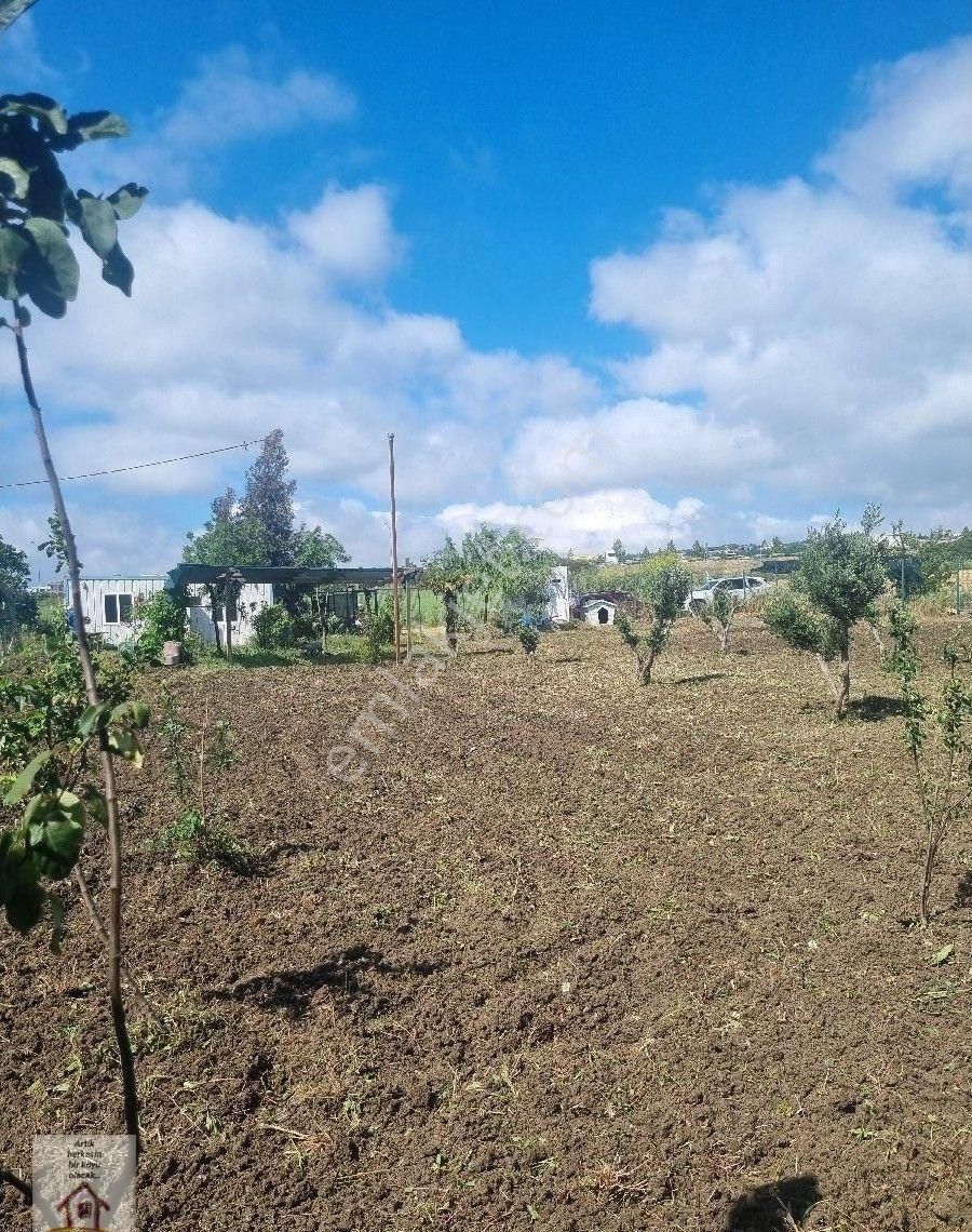 Silivri Selimpaşa Merkezde 1235 M Müstakil İmarlı Müştemilatı Olan Bahçe - Görsel 3