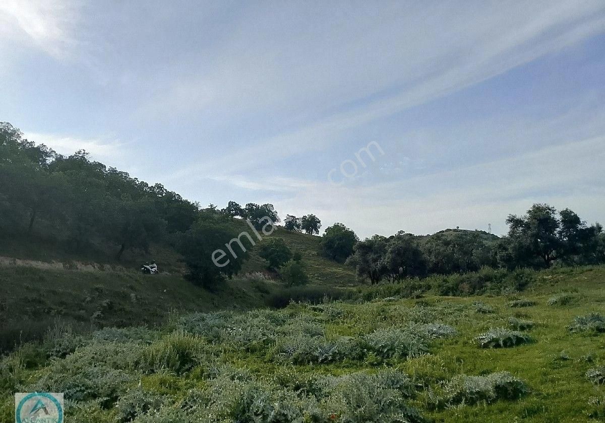 Ödemiş Kurcuova Mahallesinde Satılık İmarlı Arsa