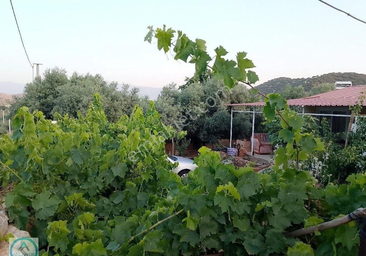 Atlantik Gayrimenkul Den Ödemiş Uzundere Mahallesinde Satılık Müstakil Ev - Görsel 4