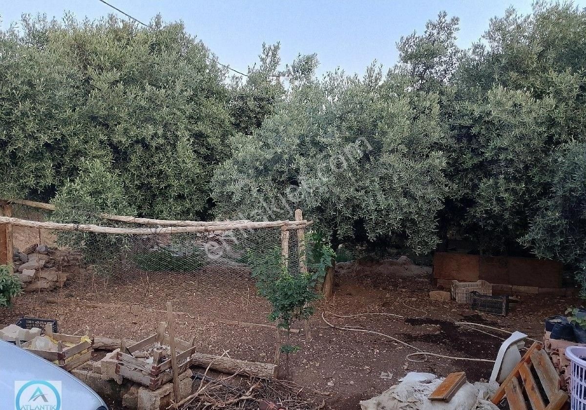 Atlantik Gayrimenkul Den Ödemiş Uzundere Mahallesinde Satılık Müstakil Ev - Görsel 9