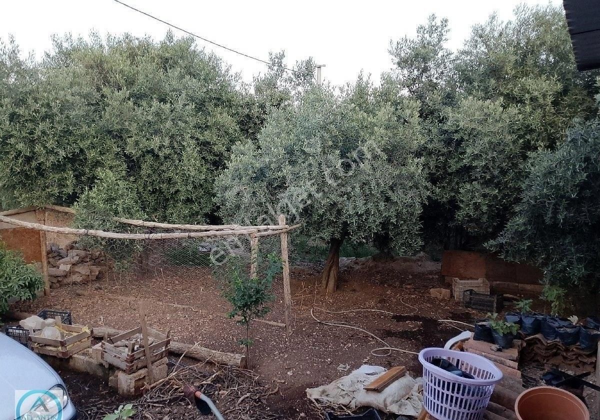 Atlantik Gayrimenkul Den Ödemiş Uzundere Mahallesinde Satılık Müstakil Ev - Görsel 16