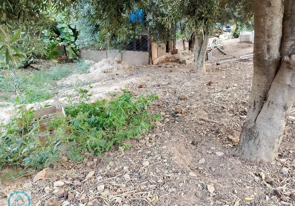 Atlantik Gayrimenkul Den Ödemiş Uzundere Mahallesinde Satılık Müstakil Ev - Görsel 17