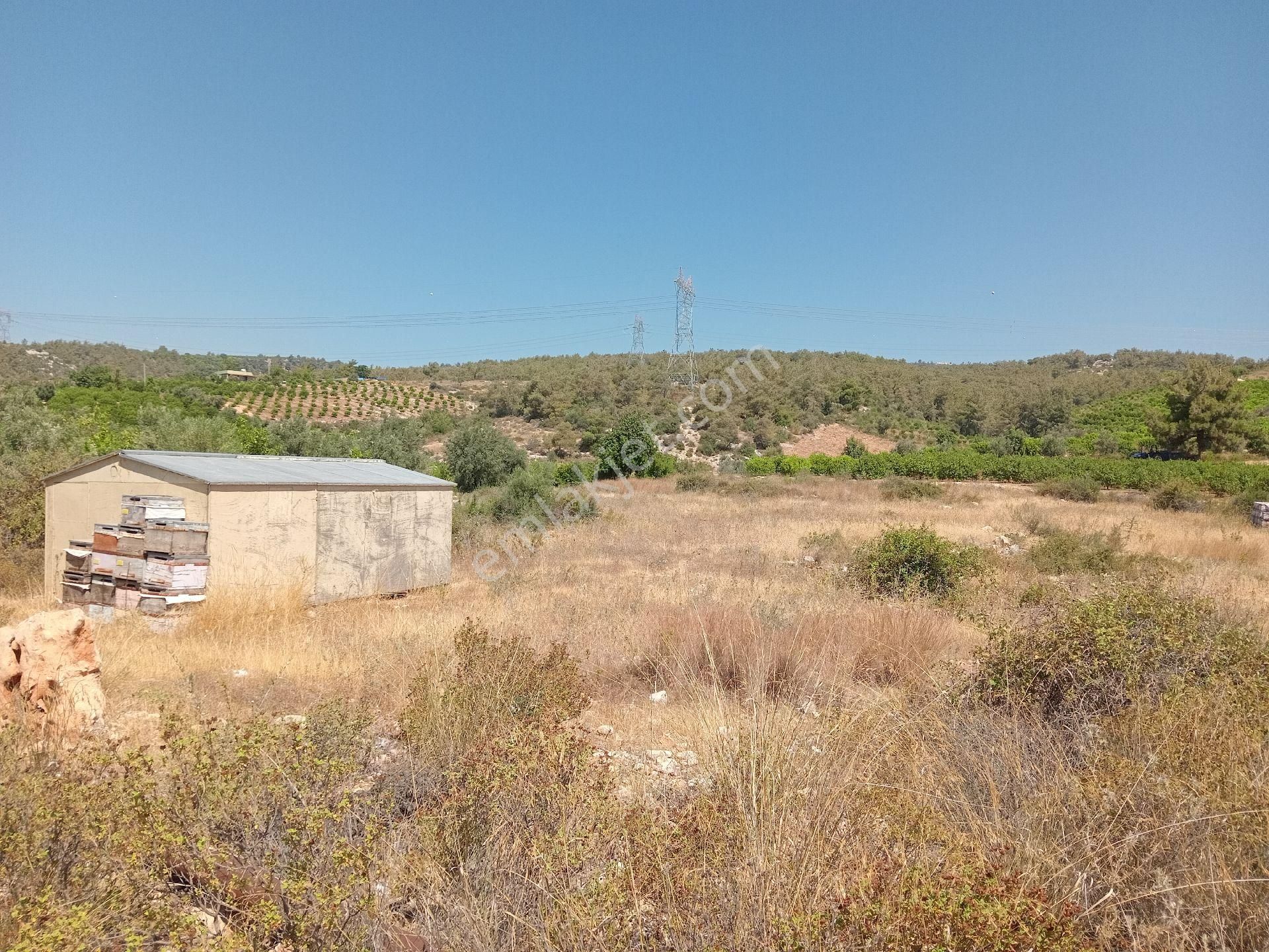 Mersin Erdemli Hacıhalil Arpaç Mah.de Satılık 8500 M.kare Tarla