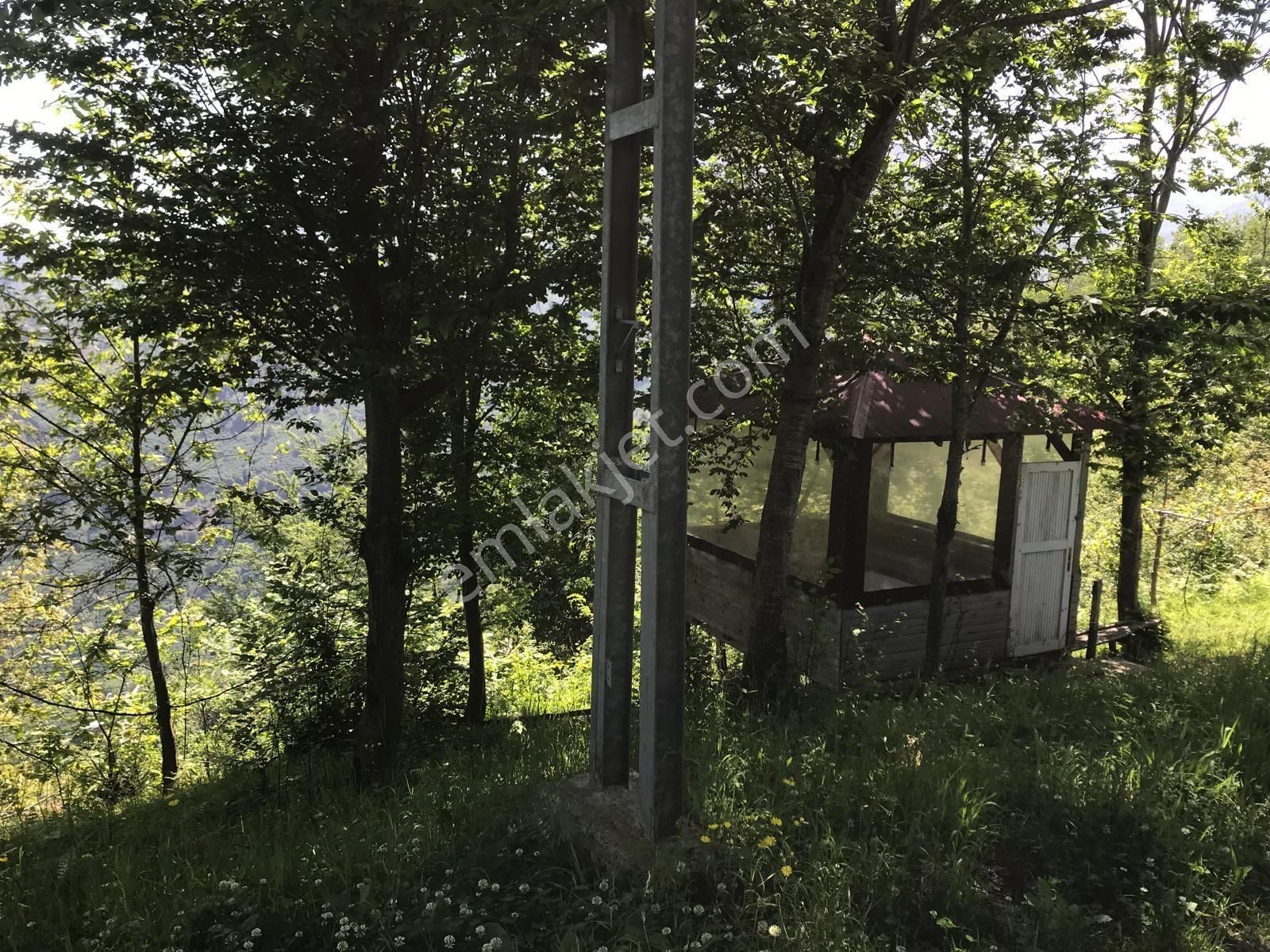 Kıran Köyü Armutlu Mevkisinde Kiralık 4+2 Köy Evi - Görsel 4