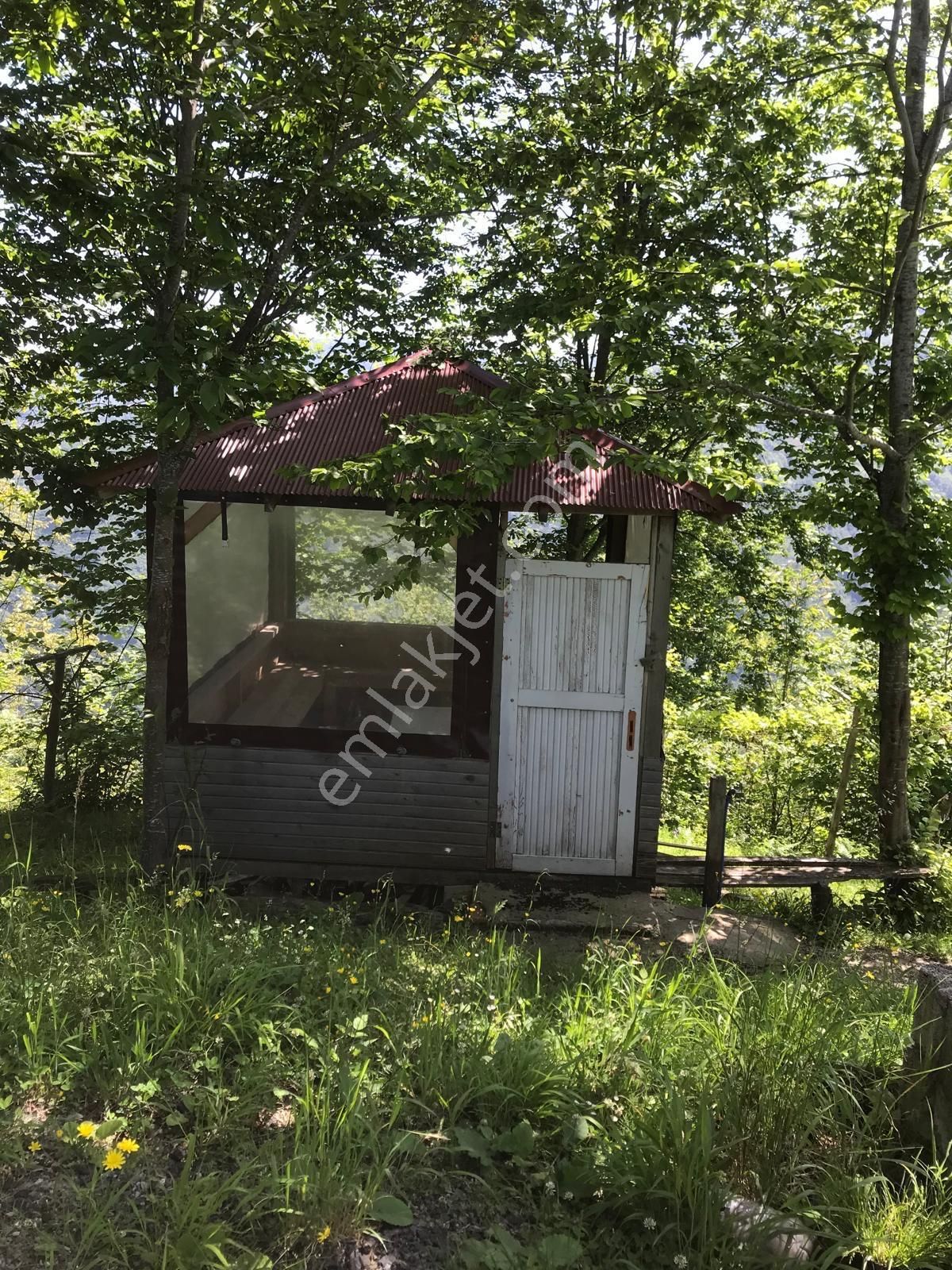 Kıran Köyü Armutlu Mevkisinde Kiralık 4+2 Köy Evi - Görsel 3