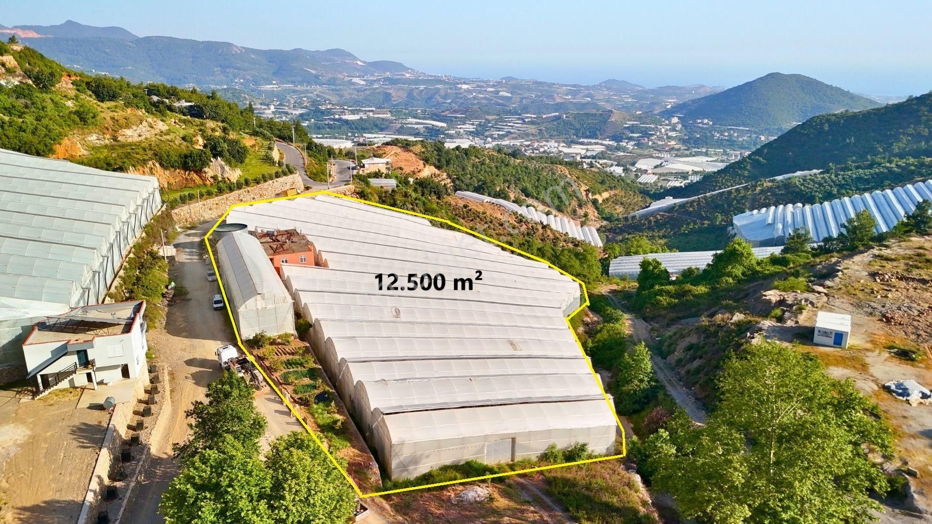 Satılık 12.500 M² Muz Serası, Alanya-toslak - Görsel 5