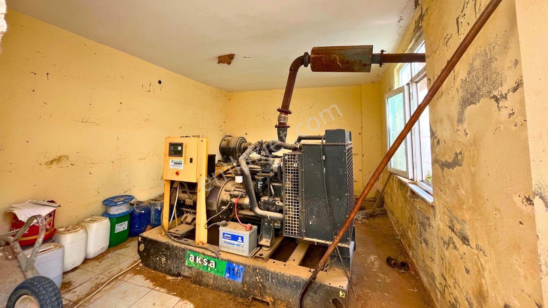 Satılık 12.500 M² Muz Serası, Alanya-toslak - Görsel 12