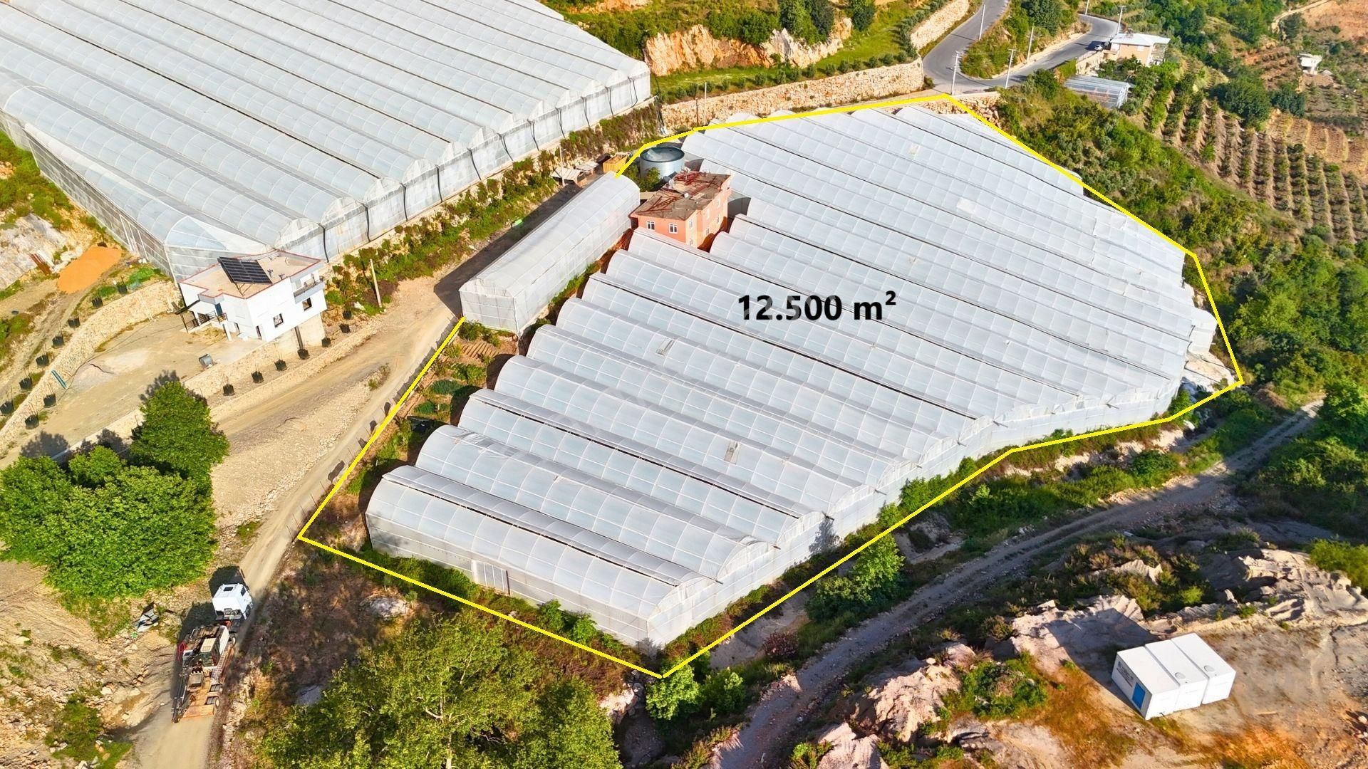 Satılık 12.500 M² Muz Serası, Alanya-toslak - Görsel 3
