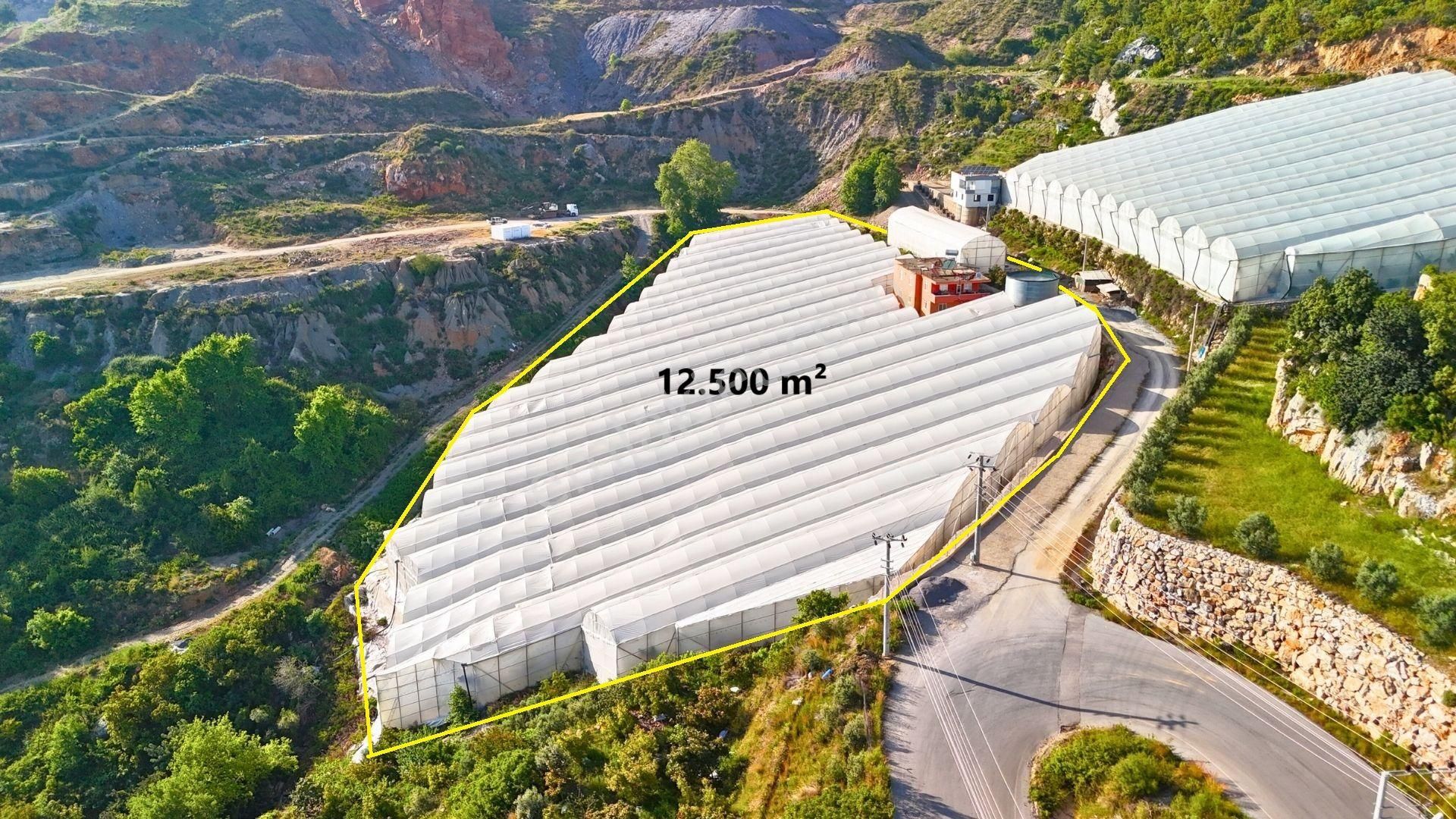 Satılık 12.500 M² Muz Serası, Alanya-toslak - Görsel 2