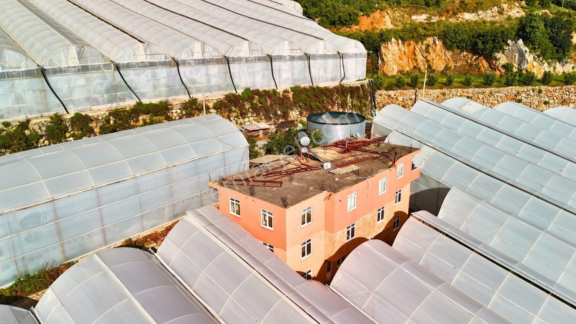 Satılık 12.500 M² Muz Serası, Alanya-toslak - Görsel 15