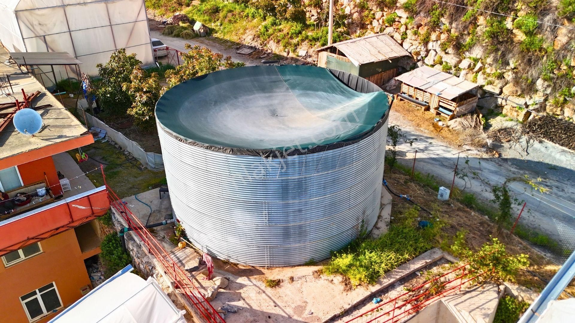 Satılık 12.500 M² Muz Serası, Alanya-toslak - Görsel 13