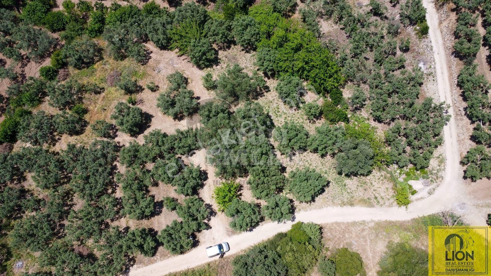 Erdek Aşağıyapıcı Mahallesinde Fırsat Ve Yatırımlık 857m² Satılık Zeytinlik