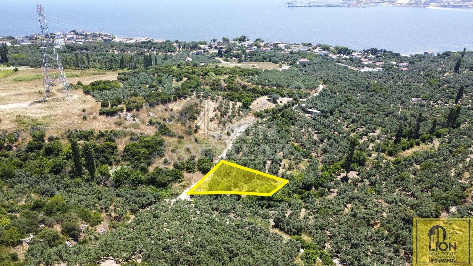 🟨⬛lıon Emlak'tan Erdek Aşağıyapıcı Mahallesinde Fırsat Ve Yatırımlık 857m² Satılık Zeytinlik⬛🟨 - Görsel 2