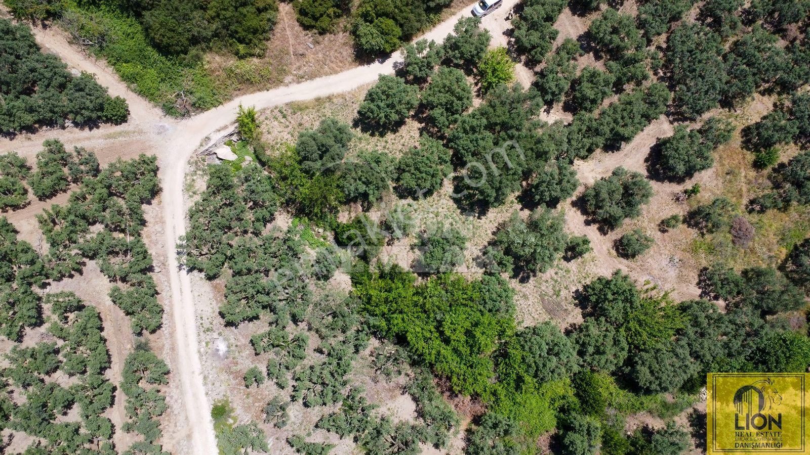 🟨⬛lıon Emlak'tan Erdek Aşağıyapıcı Mahallesinde Fırsat Ve Yatırımlık 857m² Satılık Zeytinlik⬛🟨 - Görsel 10