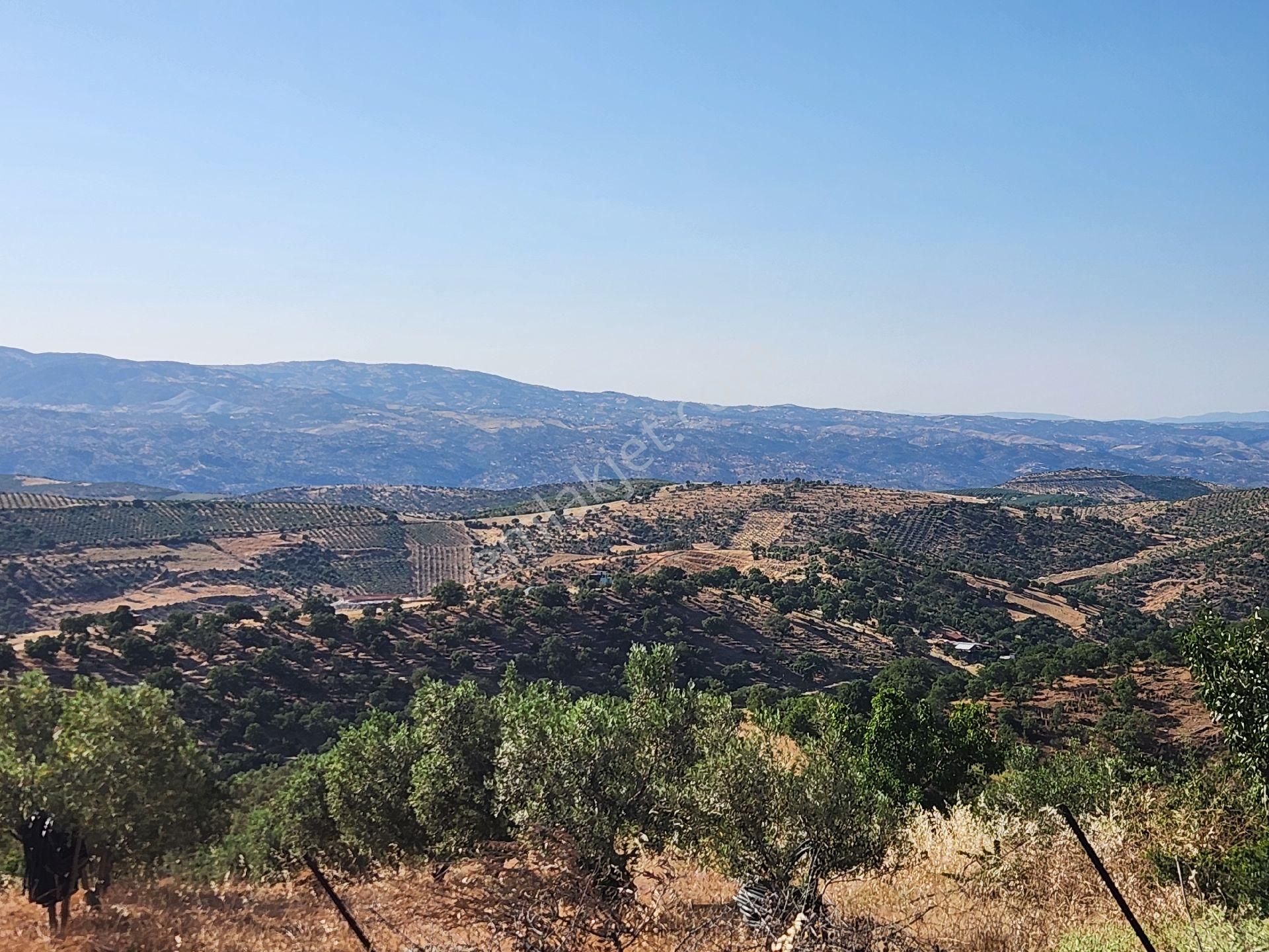 Manisa Salihli İğdecik Mah. 12.770 M2 Tarla Kadostral Yola Cephe
