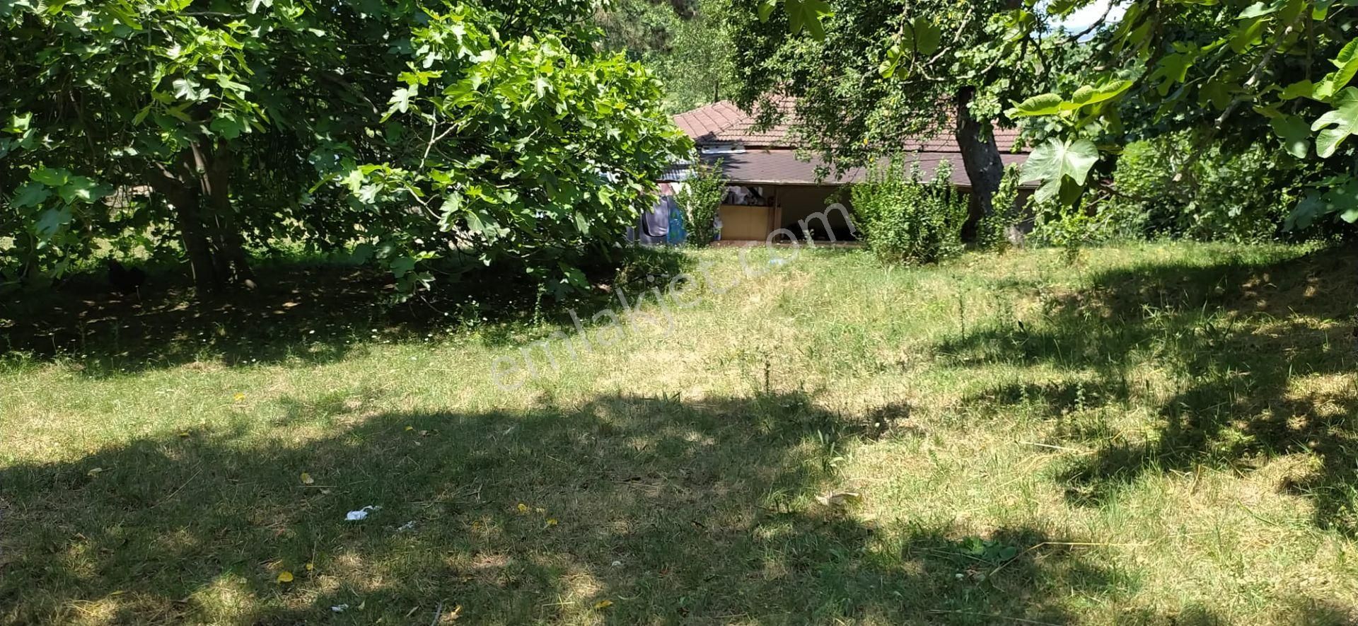 Sakarya İli Erenler İlçesi Satılık Bağ & Bahçe - Görsel 11