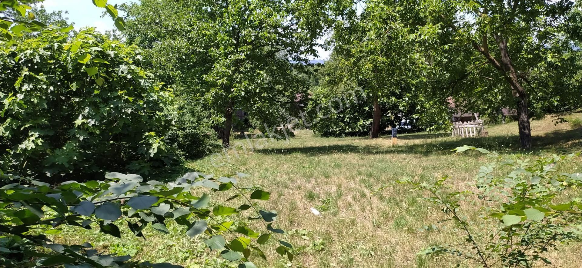 Sakarya İli Erenler İlçesi Satılık Bağ & Bahçe