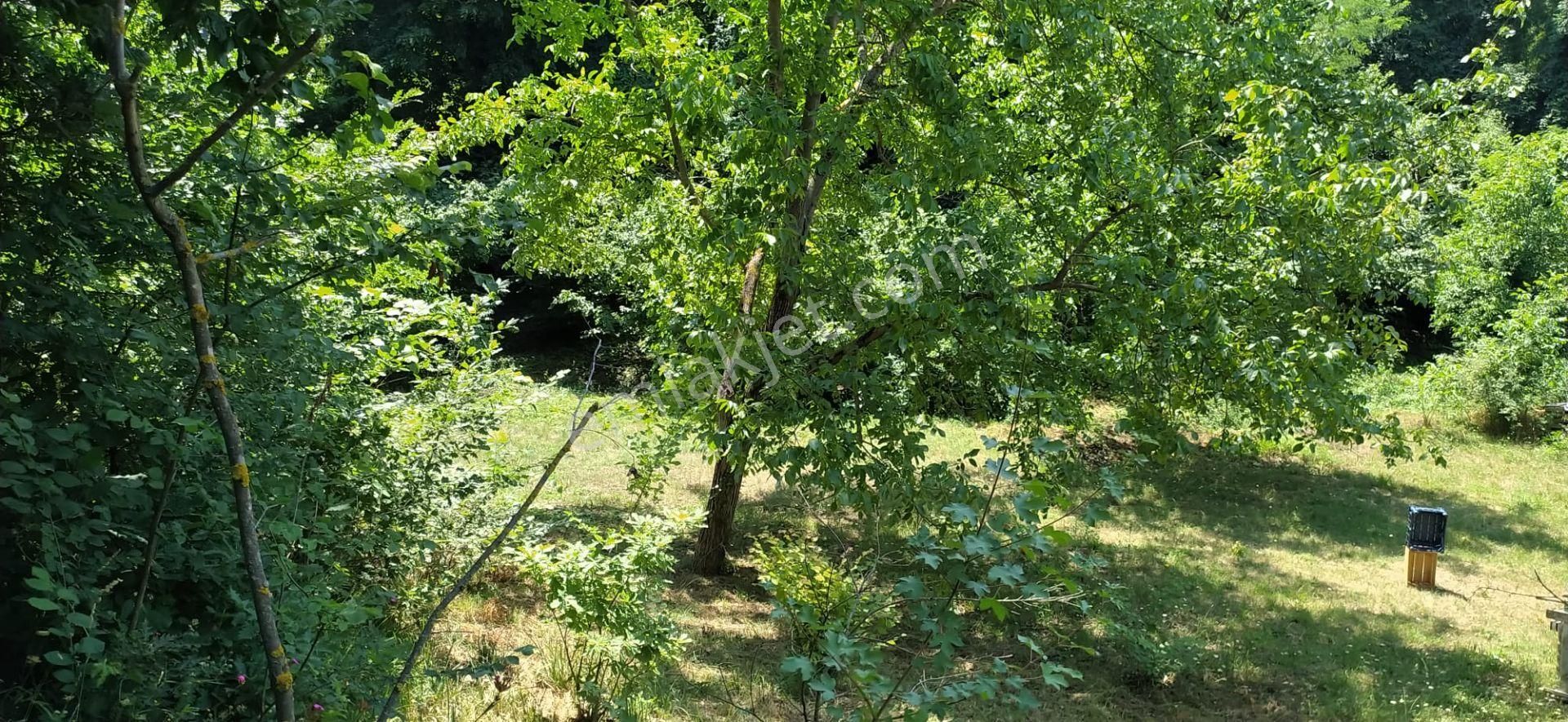 Sakarya İli Erenler İlçesi Satılık Bağ & Bahçe - Görsel 15