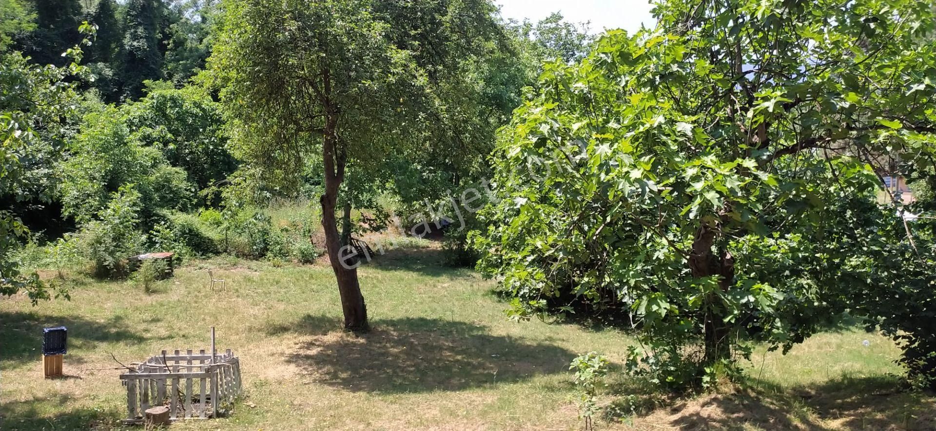 Sakarya İli Erenler İlçesi Satılık Bağ & Bahçe - Görsel 16