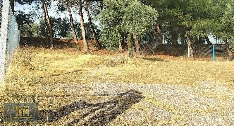 Temofis'den Yılın Fırsatı! Yok Böyle Bir Lokasyon - Görsel 9