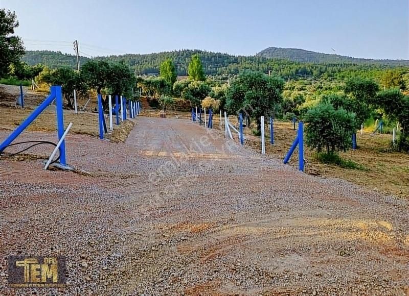 Temofis'den Yılın Fırsatı! Yok Böyle Bir Lokasyon - Görsel 19