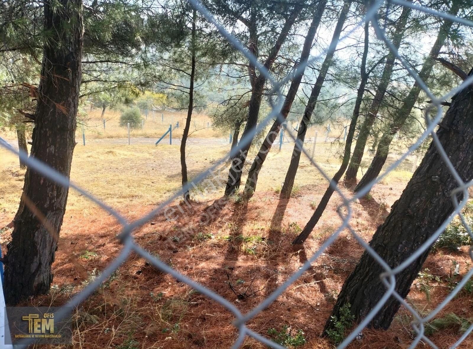 Temofis'den Yılın Fırsatı! Yok Böyle Bir Lokasyon - Görsel 12