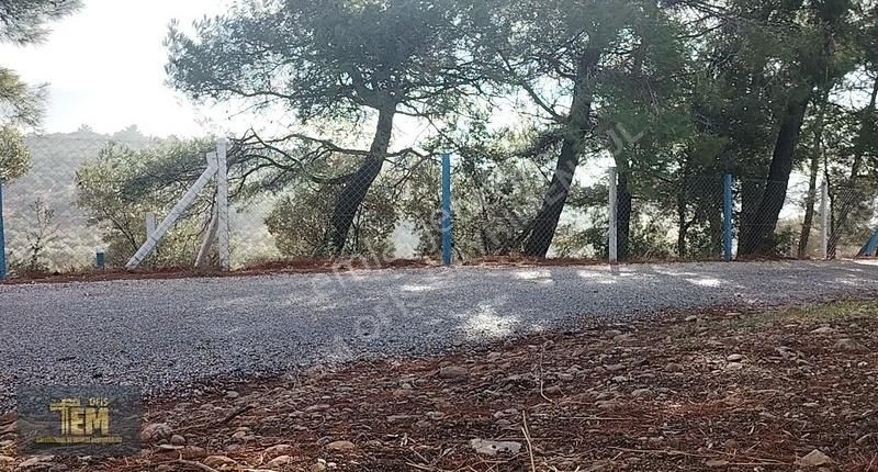 Temofis'den Yılın Fırsatı! Yok Böyle Bir Lokasyon - Görsel 3