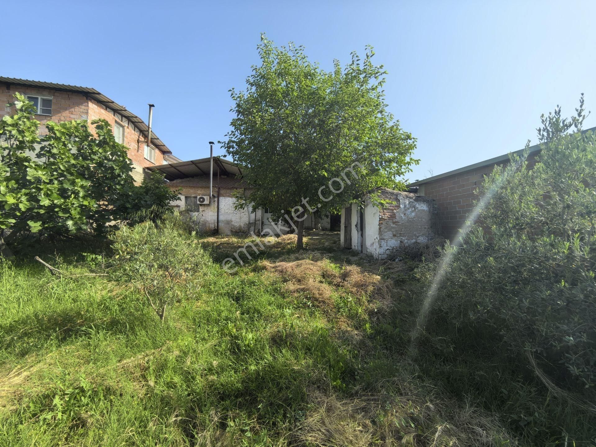 ❗satılık ❗didim Ak-yeniköyde Köy İçi 554 M2 Arsa İçinde Köy Evi