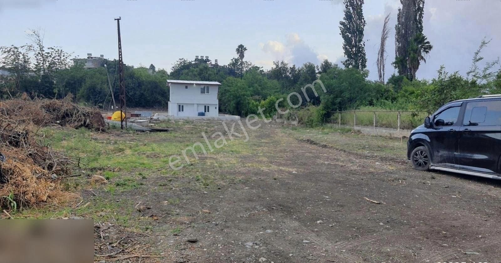 Asagiokcularda Dogus Kokejı Arkası