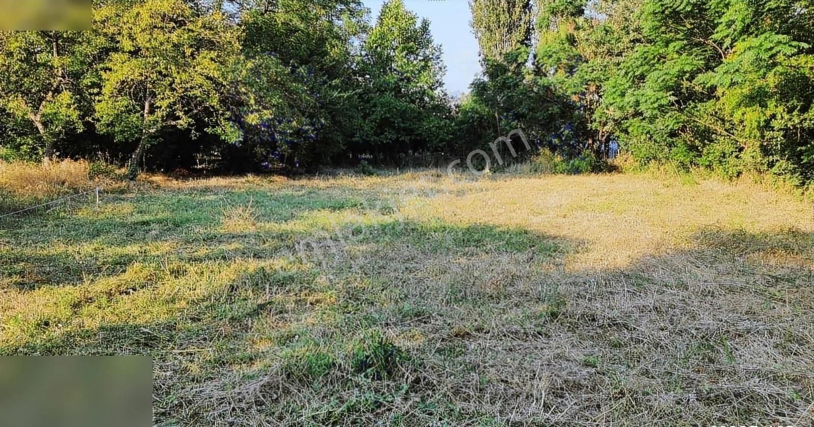 Degirmenyolu Nda Doğa'l Arsa