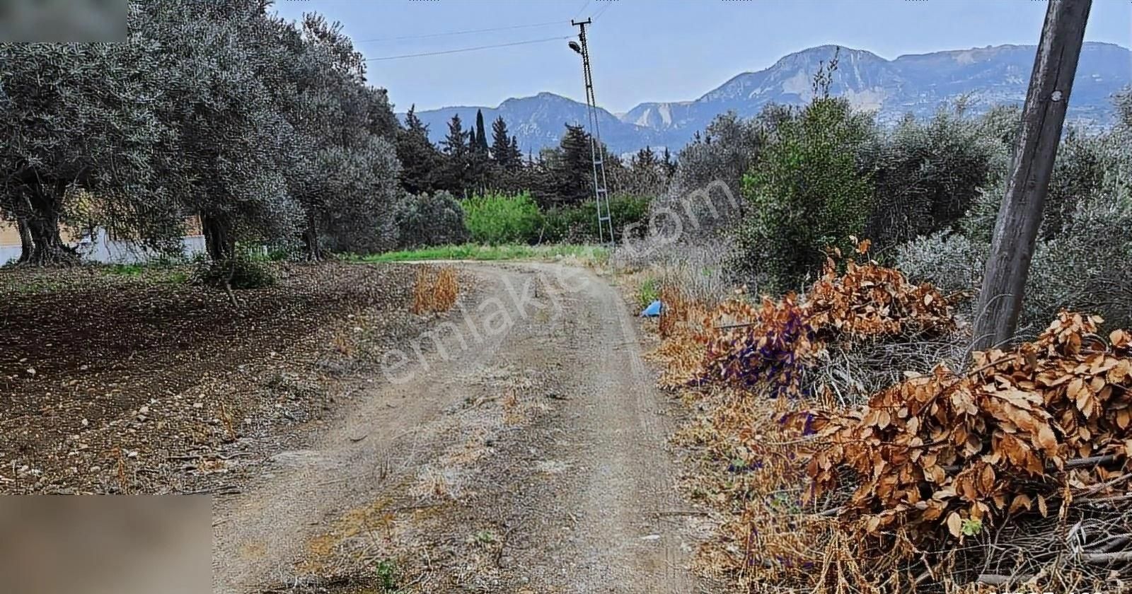 Subasinda Ust Gecıde Yakın Kapanmaz Manzaralı