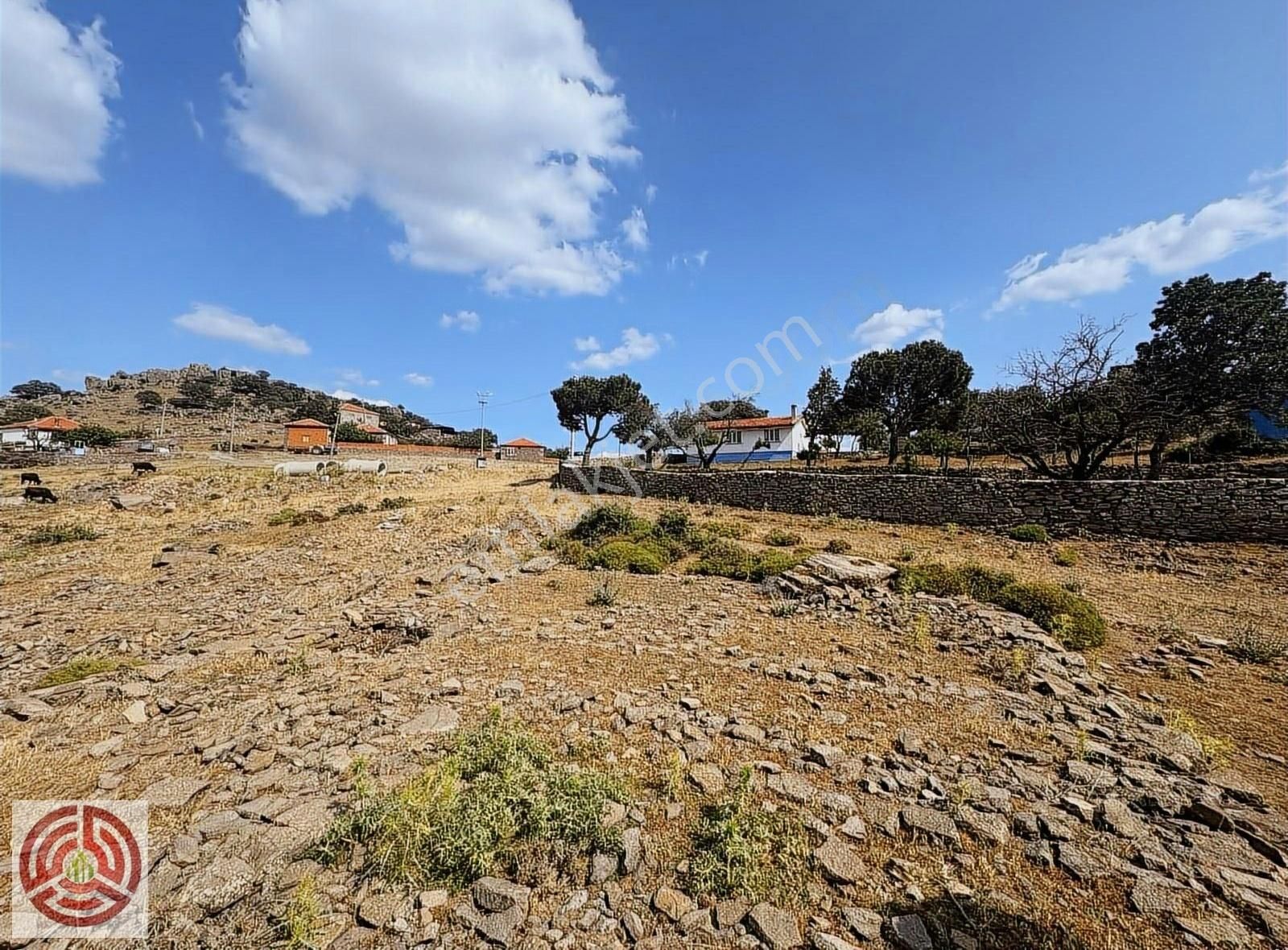 Egd Emir Grup'dan Örselli Köyü 4555m Satılık Arsa