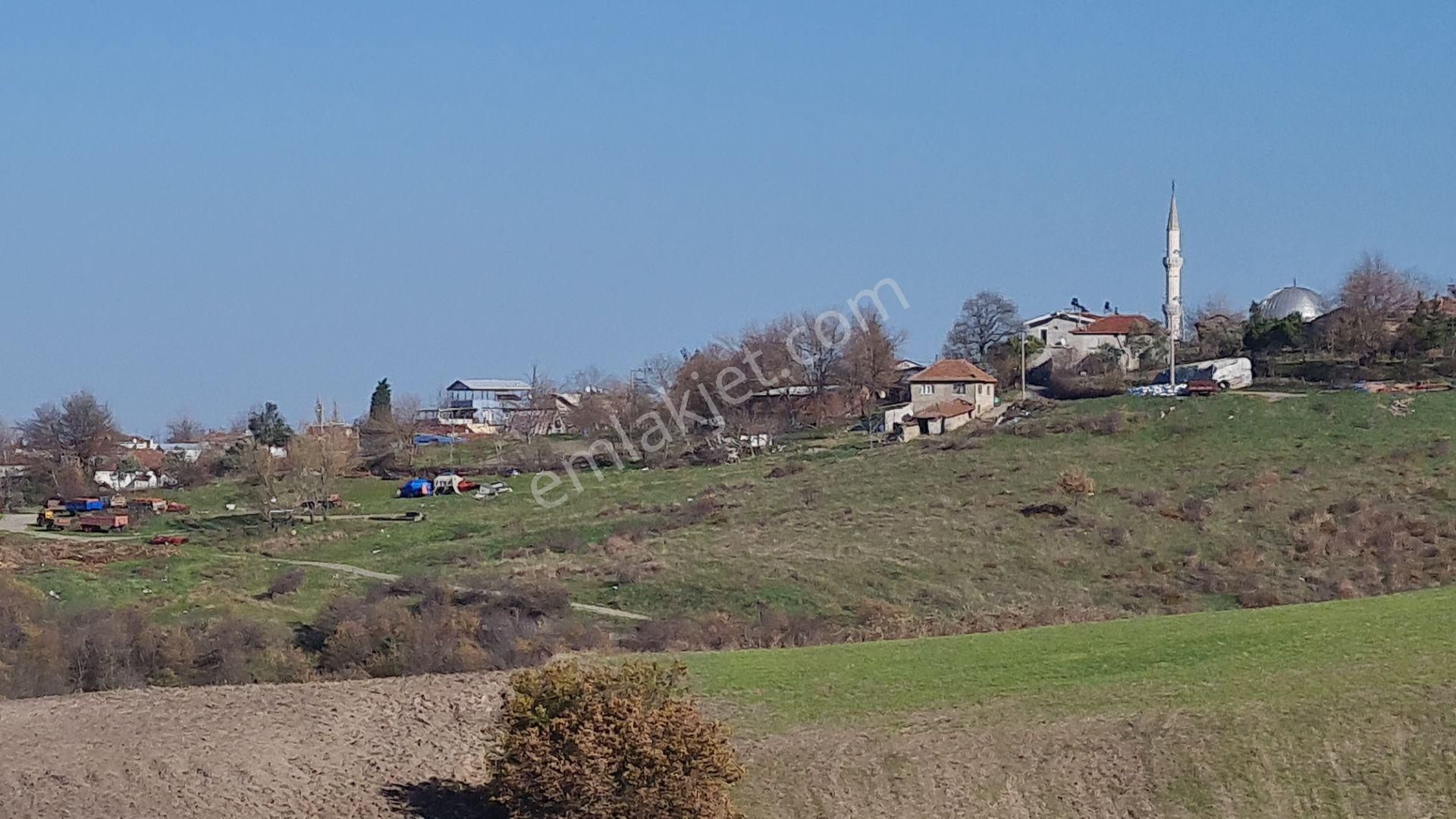 Bursa Mustafakemalpaşa Kosova Da Satılık Tarla