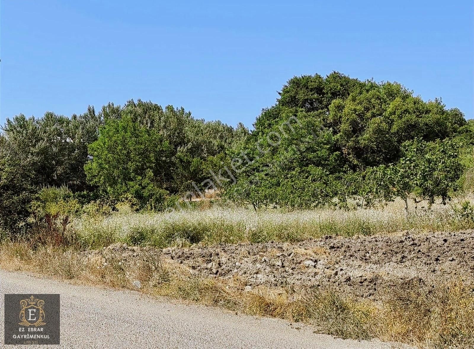 Mudanya Dedeköy'de 1200 M2, Yerleşime Çok Yakın Yatırımlık Arazi