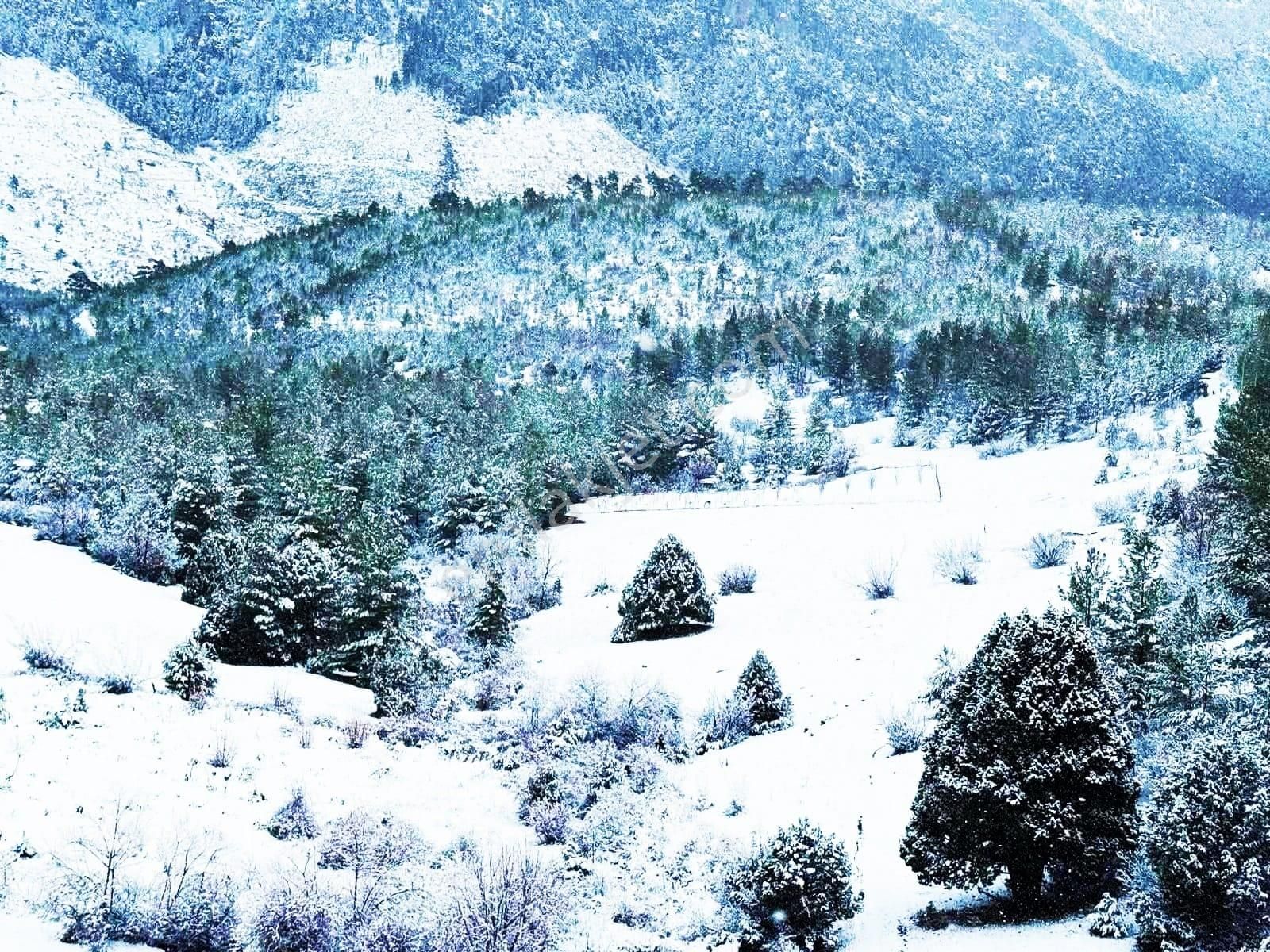 Pozantı Kar Emlaktan Alpu Yaylasında Yaylalık 450 M2 Satılık Arsa - Görsel 8