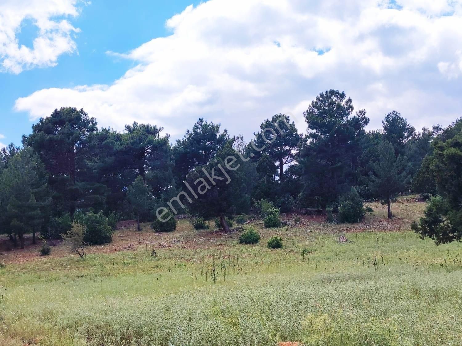 Pozantı Kar Emlaktan Alpu Yaylasında 480 M2 Doğa Manzaralı Satılık Arsa - Görsel 10