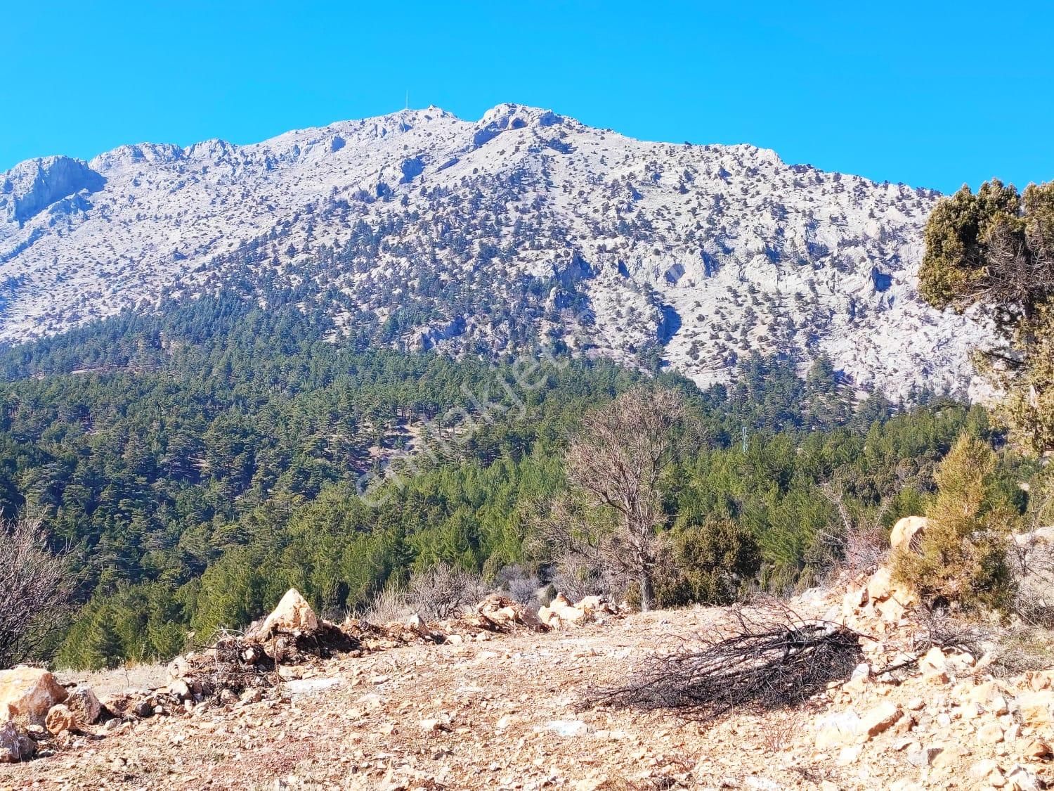 Pozantı Kar Emlaktan Alpu Yaylasında Doğa Manzaralı Satılık 500 M2 Arsa - Görsel 8