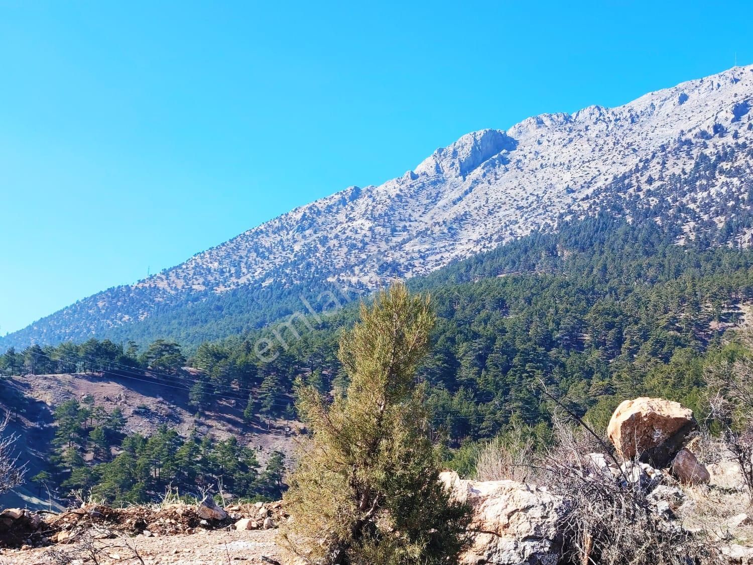 Pozantı Kar Emlaktan Alpu Yaylasında Doğa Manzaralı Satılık 500 M2 Arsa - Görsel 24
